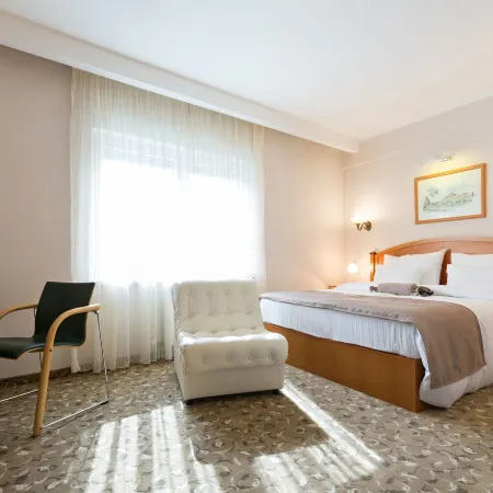 Hotel Sterling Garni Отели рядом с достопримечательностью «Парк Кошутняк»