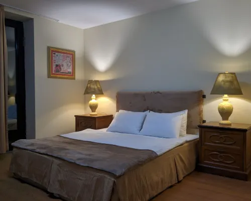 Shino Hotel Hotels in Gudauri