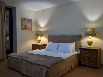 Shino Hotel Hotels in Gudauri