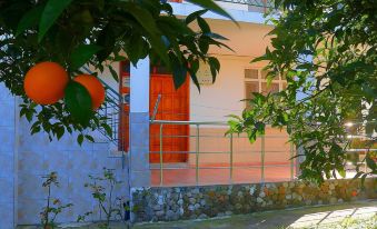 Cirali Irmak Hotel