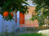Cirali Irmak Hotel - Pensions