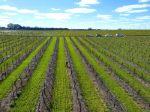 Furche Barossa Vineyard & Fireplace Hotels in Nuriootpa