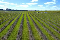 Furche Barossa Vineyard & Fireplace