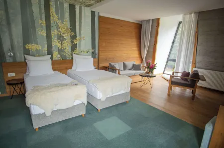 Pino Nature Hotel, BW Premier Collection Отели рядом с достопримечательностью «Старая православная церковь»