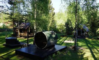 Metai Miške&a Year in the Forest