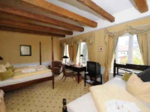 ホテル ニーダーレンディッシャー ホフ シュヴェリーンのホテル