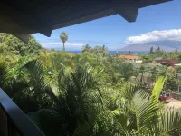マウイ ワット ア ワンダフル ワールド B アンド B ハワイ - 絶景