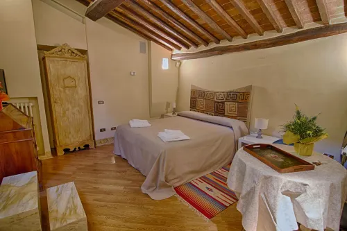 Rinidia - Siena Centro