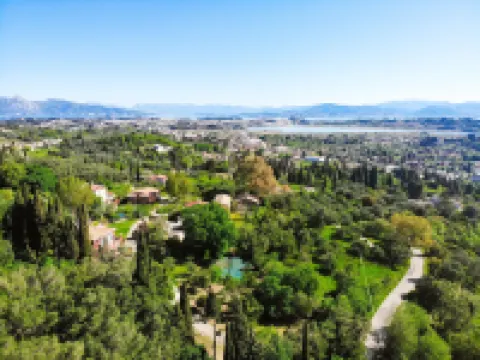 Mansion on the Hill Cfu