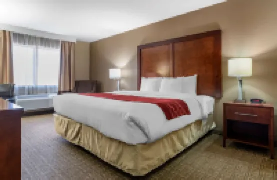 컴포트 인 & 스위트 리즈 I-20