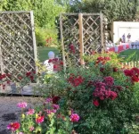 Rey Sancho Palencia Hotels in Palencia