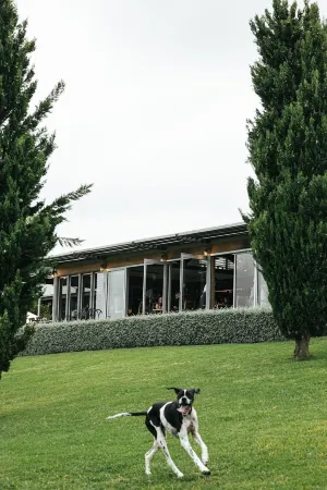 Cupitt's Estate Villas