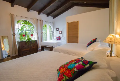 Hotel Monasterio - Pet friendly