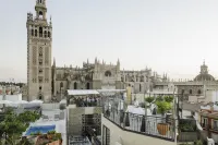 โรงแรม EME Catedral Mercer - วิว