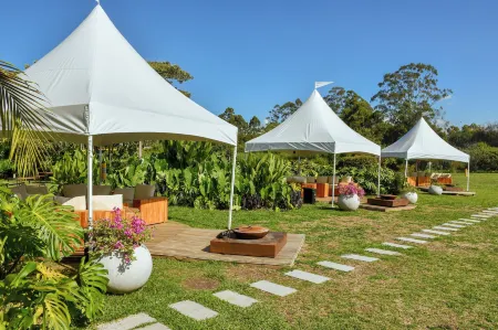 Hotel Lagoon Отели в г. Эль Табласо