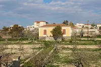 Hotel Aegina - 2 stjerner