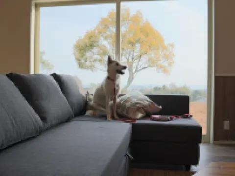 Oniwa 安藝郡酒店