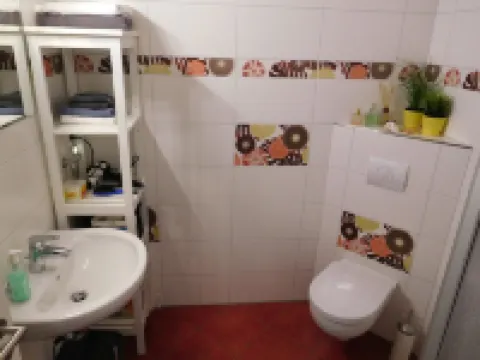 Sunny, modern first floor apartment with private, sheltered south-facing garden