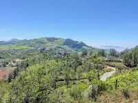 The Songbird Hotels in Balacola