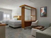 查爾斯頓芒特普萊森特萬豪SpringHill Suites酒店 快樂山酒店