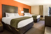 Comfort Inn Wings Stadium - Parkplatz