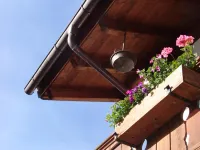 Hotel Ferienhaus Fux
