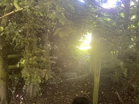 Cabin Retreat in Bedford - Sleeps 2 & Free Parking