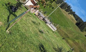 Chalet Grittelihus Near Interlaken, in a Natural Paradise