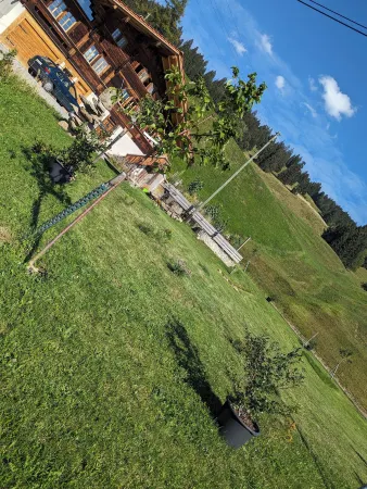 Apartment Chalet Grittelihus, Between Interlaken - Gstaad Отели в г. Димтиген