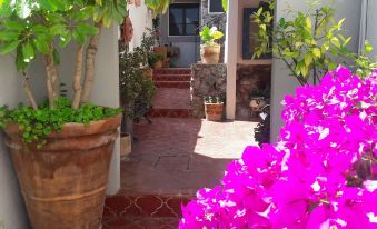 Pied à Terre at Casitas Aparicio