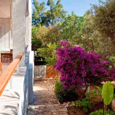 奧萊諾瓦飯店 Hotel Exterior