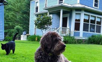 Laurel River Club Bed & Breakfast or Lrcbnb