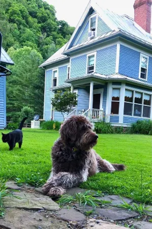 Laurel River Club Bed & Breakfast or Lrcbnb Отели в г. Томас