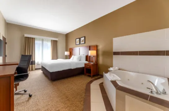 Comfort Inn & Suites Porter Near Indiana Dunes Отели в г. 