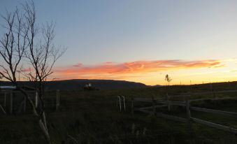Country Dream - Langholt 2