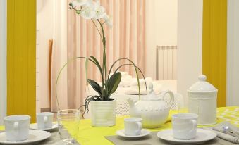 Duca70 "Suite Home"