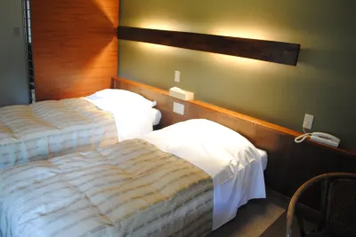 pension Alphorn Hotels near Taisho Ike Pond