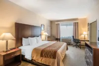 Comfort Inn & Suites Seattle North Hotels in Lake Forest Park
