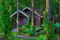 Khao Sok Riverside Cottages