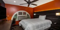 Hotel Vinea, a Travelodge by Wyndham - Camera King - Non Fumatori