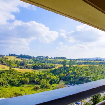 Rizzan Sea Park Hotel Tancha Bay