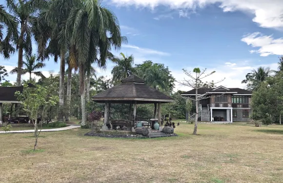 樹屋阿穆爾休閑農場地點酒店