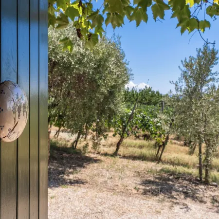 Casale Giancesare Villa Agricola