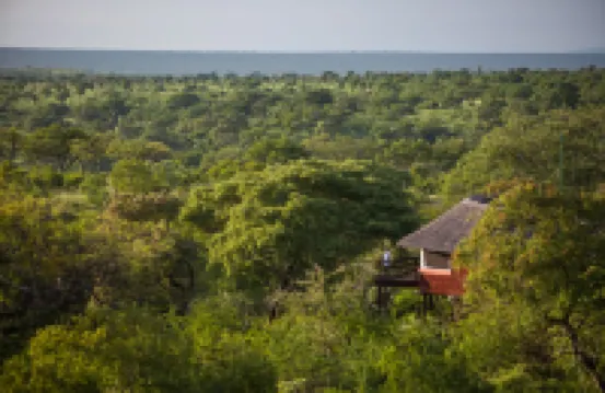 Elewana Tarangire Treetops