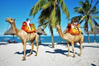 PrideInn Paradise Beach Resort & Spa Mombasa - pantai