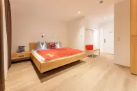 Aparthotel Alpinresort Damüls Hotels in Damüls