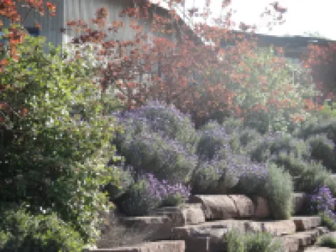 梅里吉格德雷泰特公寓酒店 曼斯菲爾德酒店