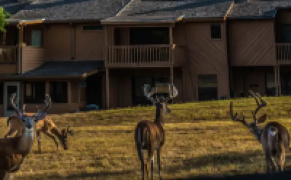 Cypress Fairway Village