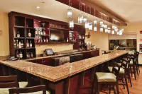 Hilton Garden Inn Guanacaste Airport - bar