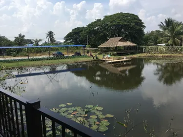 รูปภาพของบ้านภูริตา รีสอร์ท (Baan PURITA)